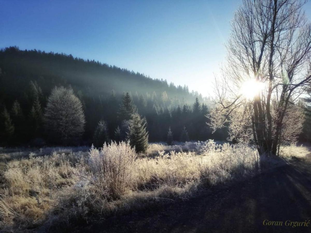 Zimski San Ravna Gora Bagian luar foto