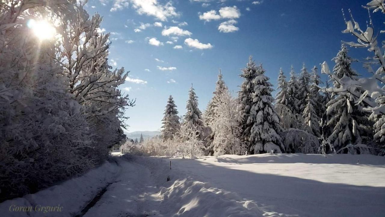 Zimski San Ravna Gora Bagian luar foto
